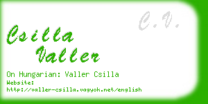 csilla valler business card